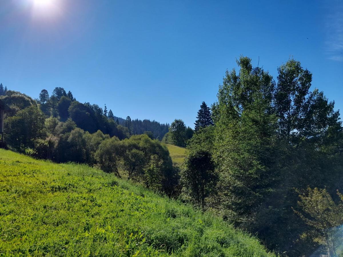 Шпінь 2 Villa Vorokhta Eksteriør bilde