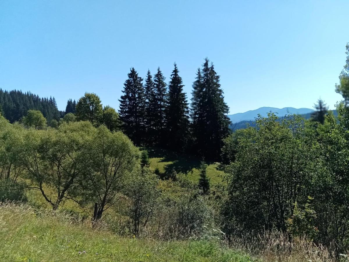 Шпінь 2 Villa Vorokhta Eksteriør bilde